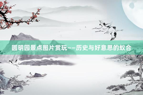 圆明园景点图片赏玩——历史与好意思的蚁合
