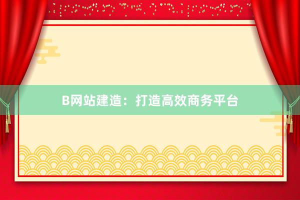 B网站建造：打造高效商务平台